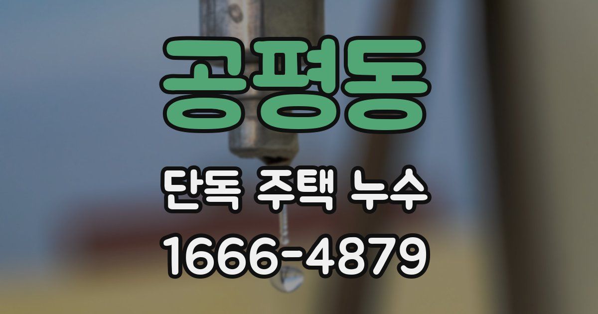 공평동 단독 주택 누수