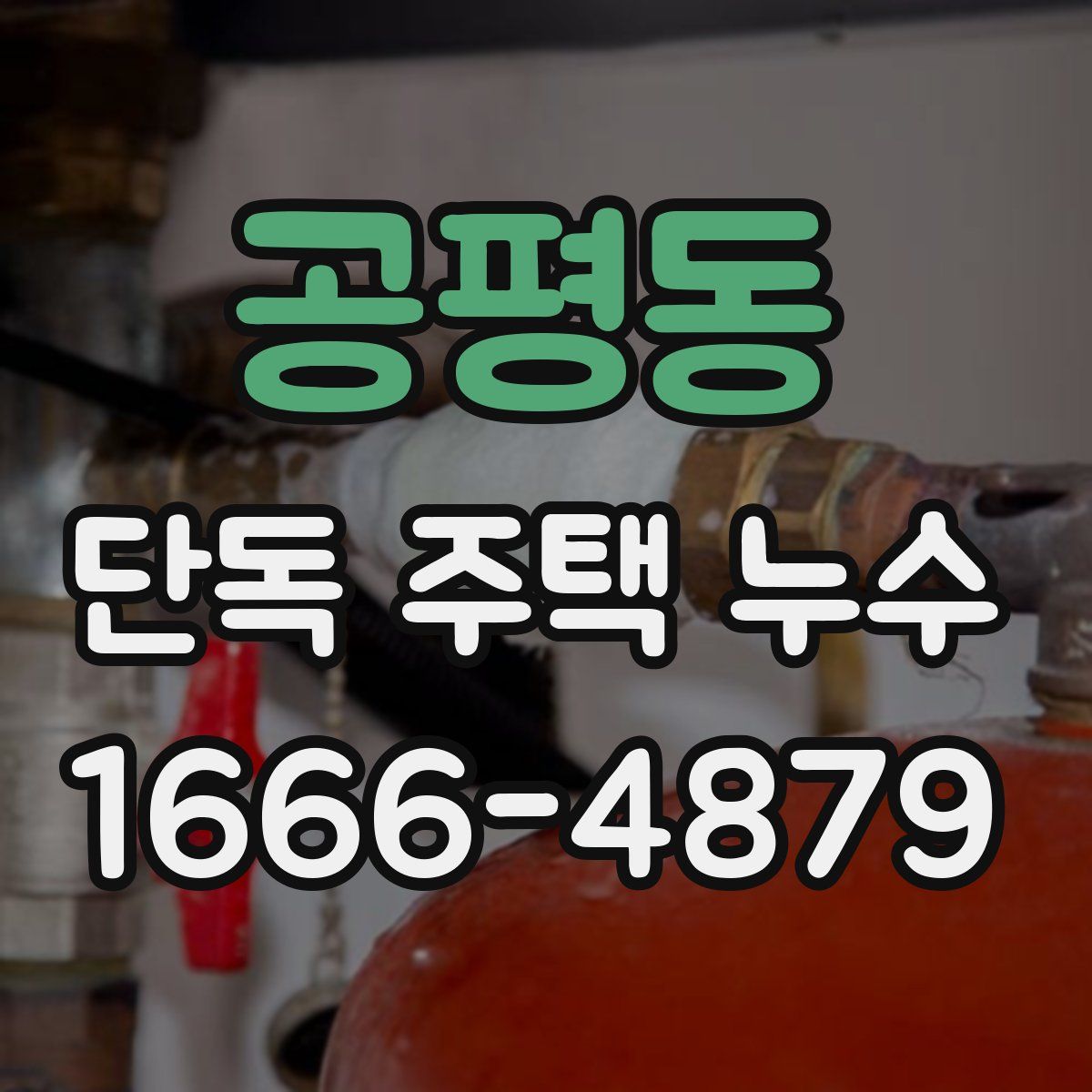 공평동 단독 주택 누수