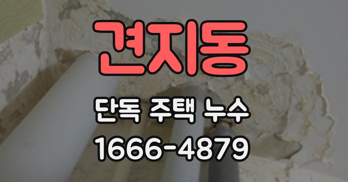 견지동 단독 주택 누수