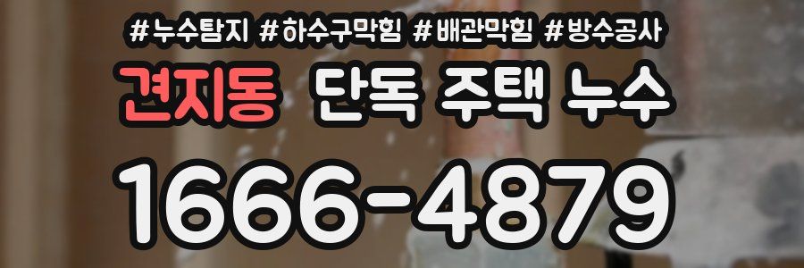 견지동 단독 주택 누수