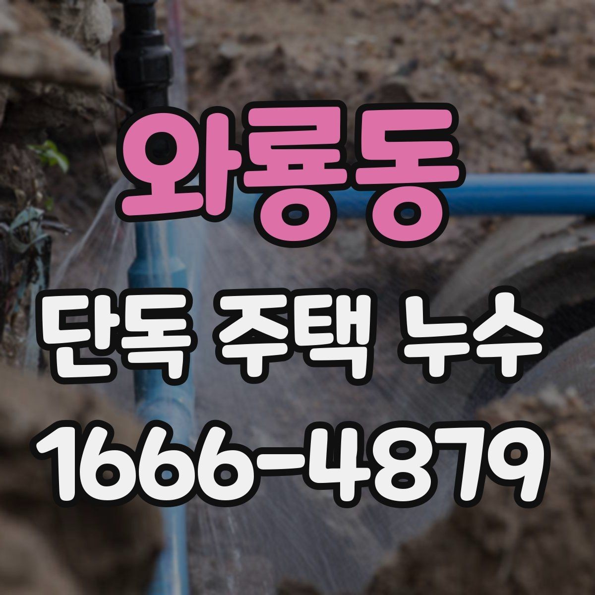 와룡동 단독 주택 누수 확인은 어디서부터 시작할까