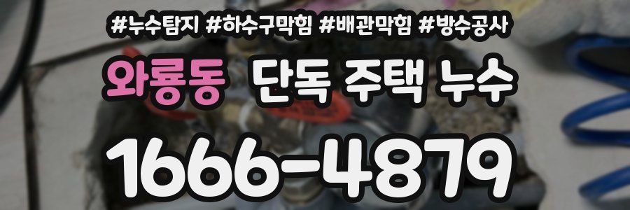 와룡동 단독 주택 누수