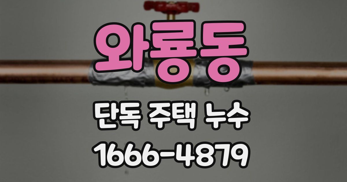 와룡동 단독 주택 누수