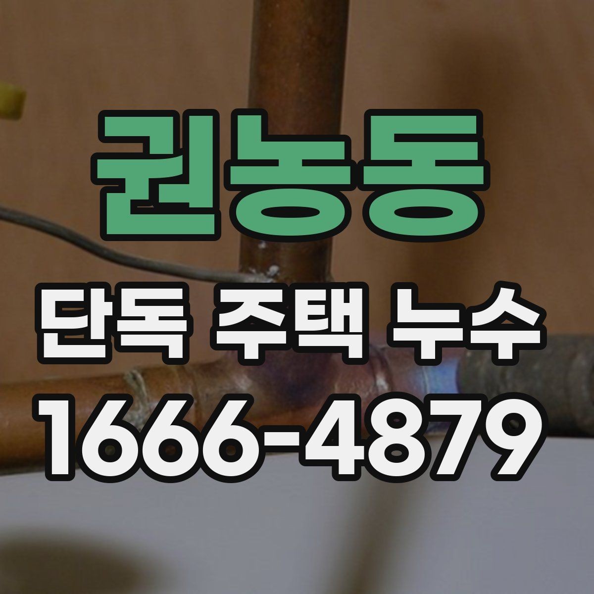 권농동 단독 주택 누수 점검에서 배관 확인이 중요한 이유