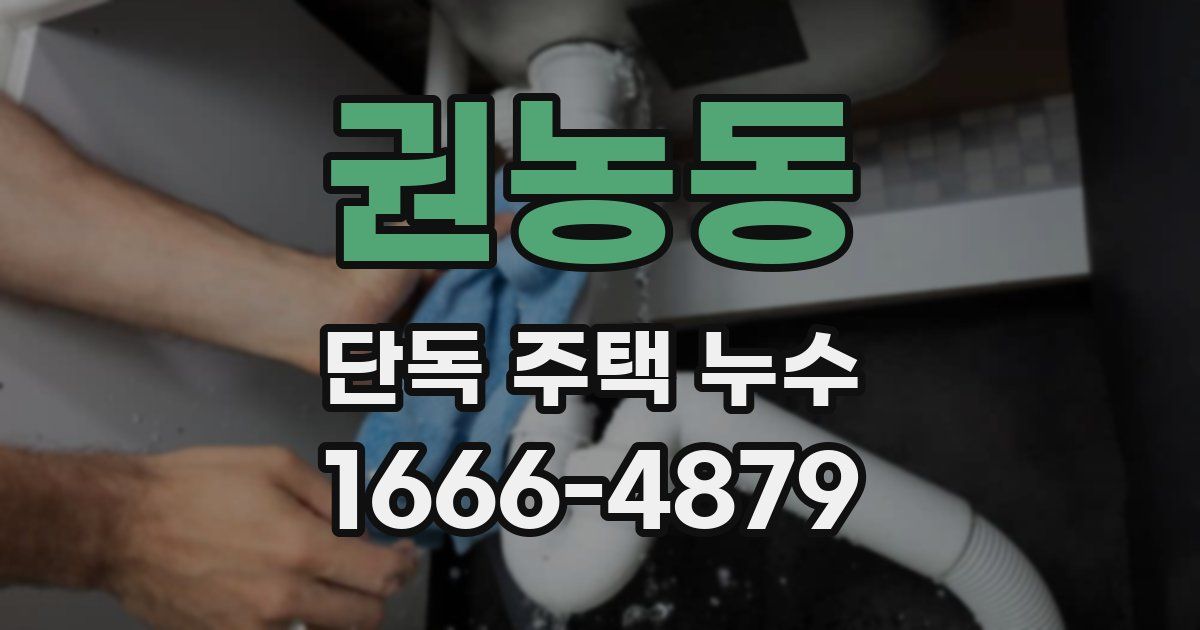 권농동 단독 주택 누수
