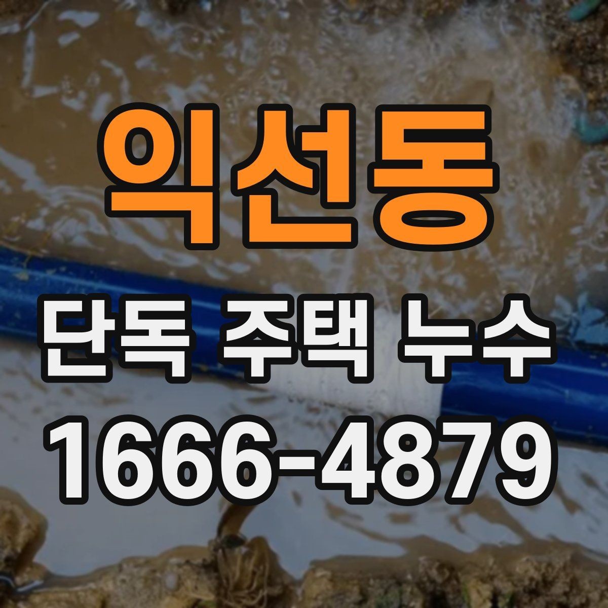 익선동 단독 주택 누수 발생 위치별 대처법