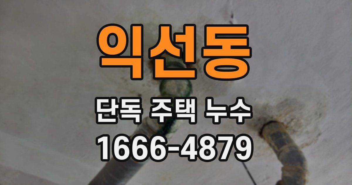 익선동 단독 주택 누수