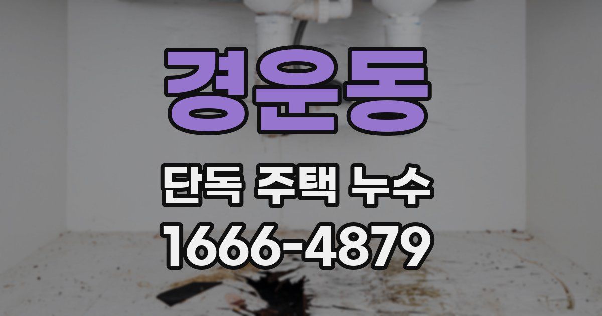 경운동 단독 주택 누수