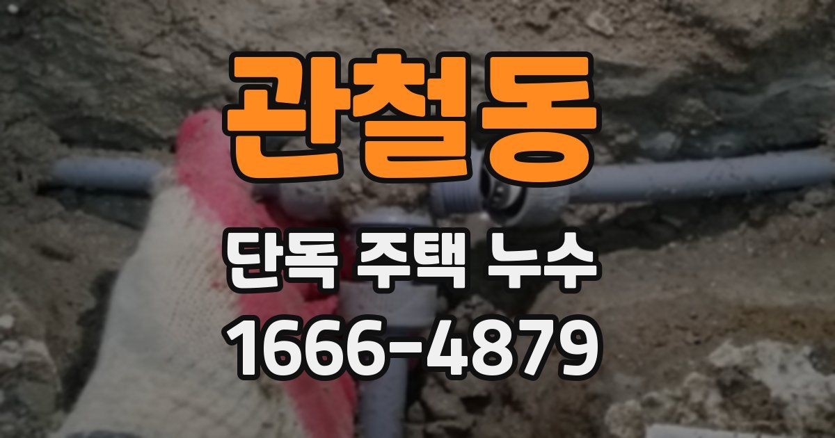 관철동 단독 주택 누수