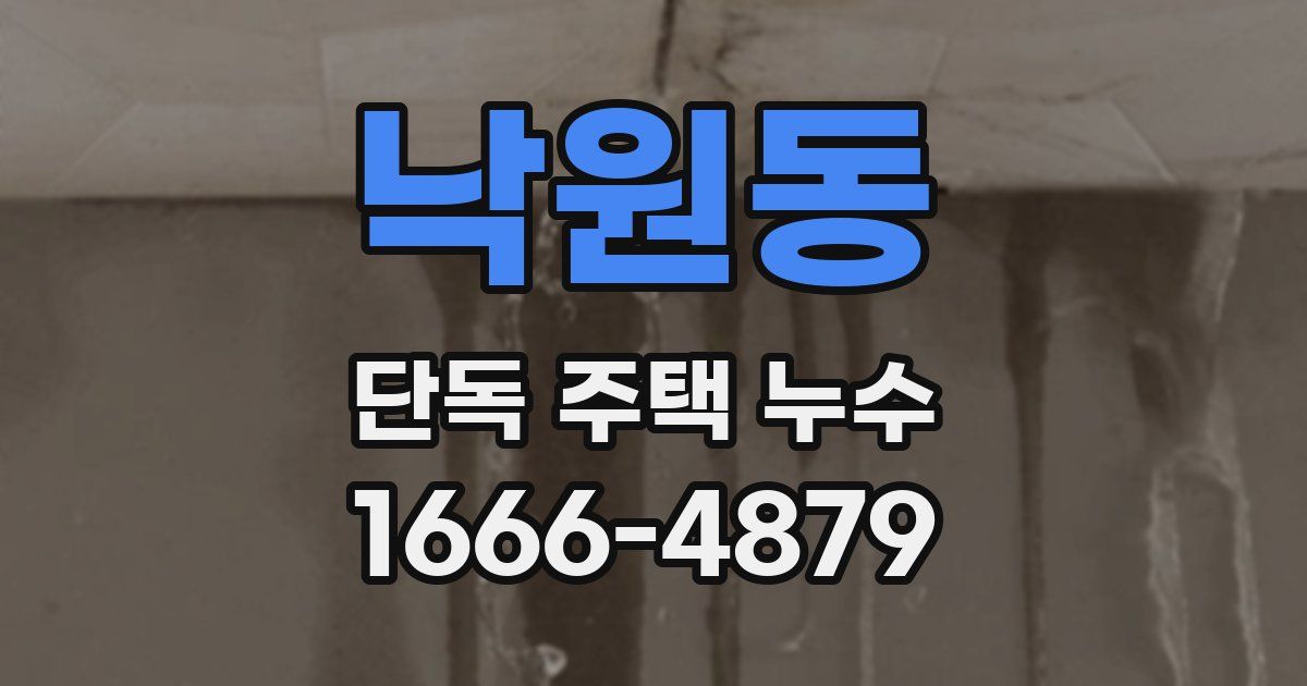 낙원동 단독 주택 누수