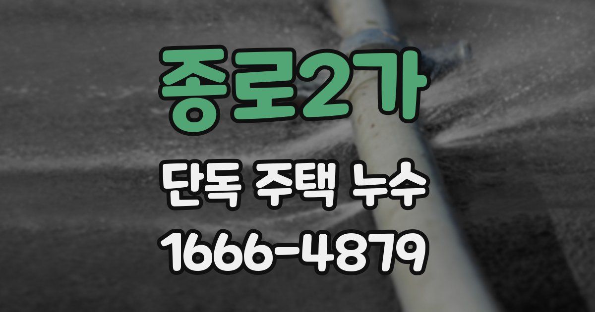 종로2가 단독 주택 누수