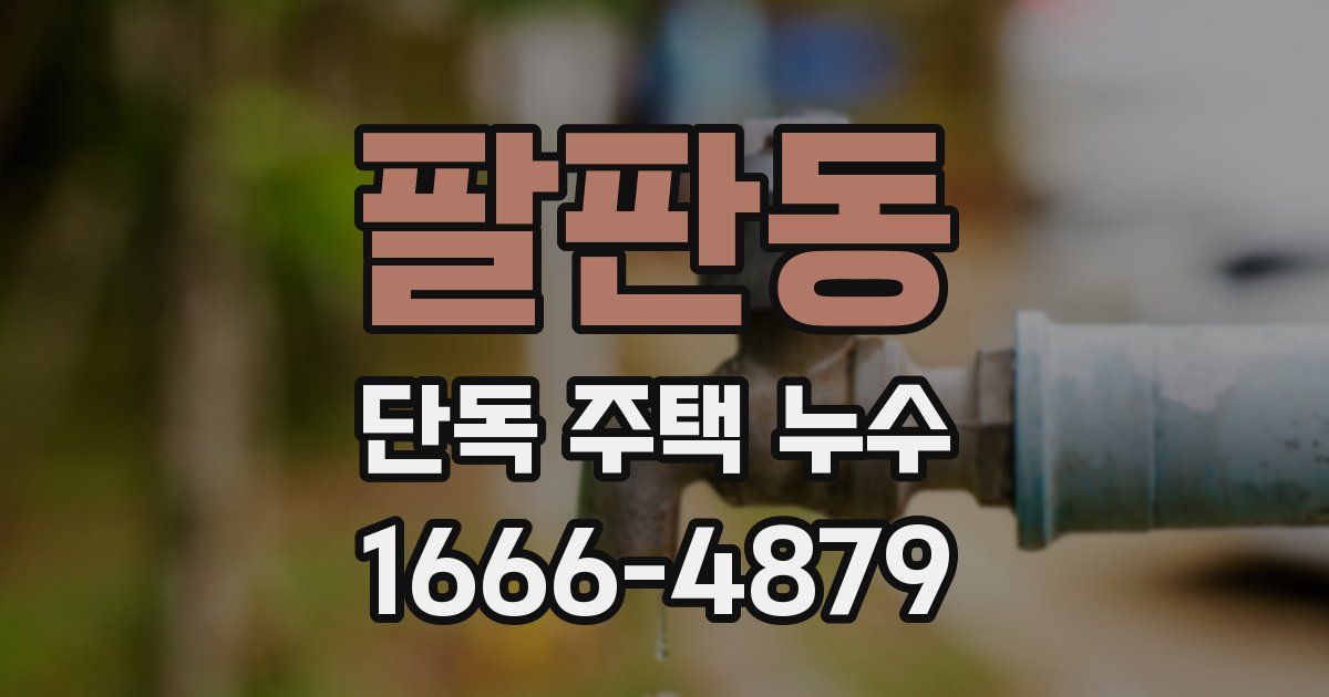 팔판동 단독 주택 누수