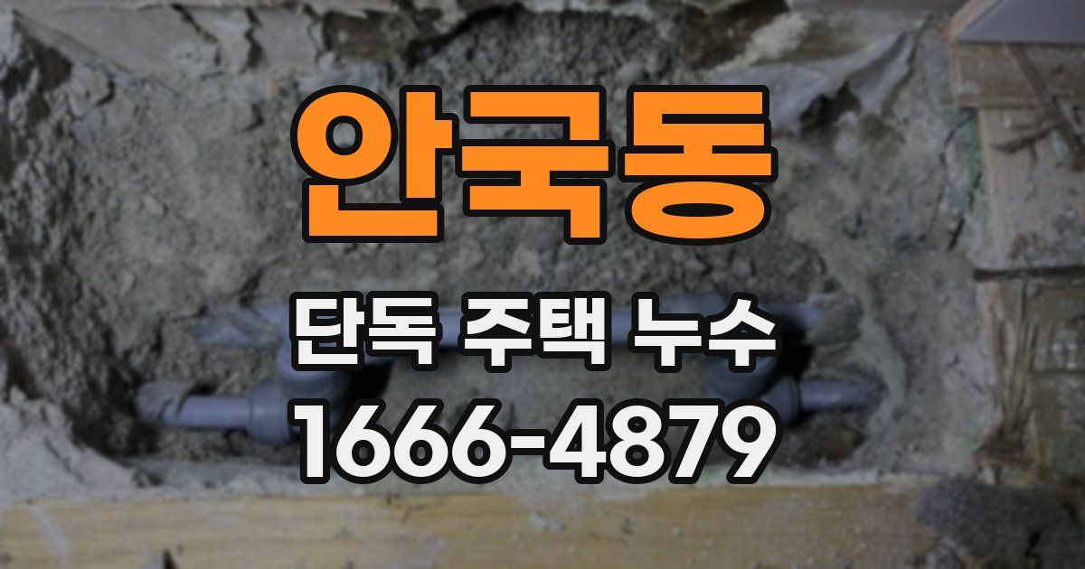 안국동 단독 주택 누수