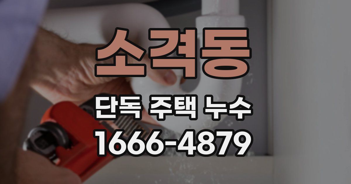 소격동 단독 주택 누수