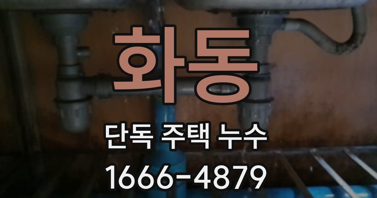 화동 단독 주택 누수