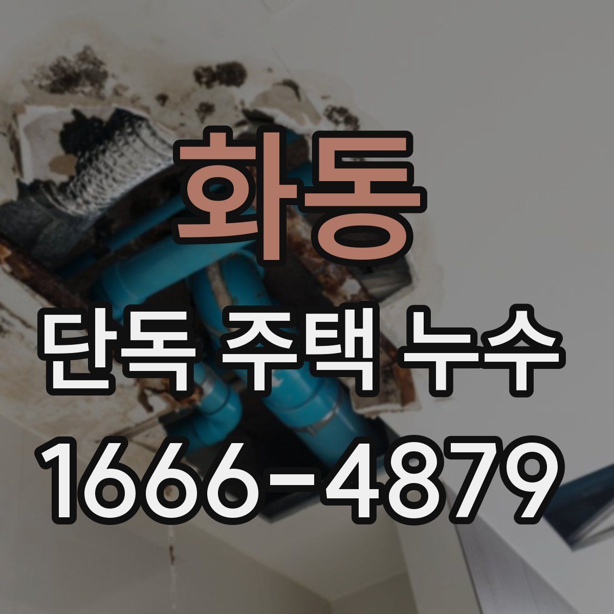 화동 단독 주택 누수