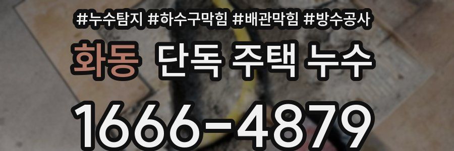 화동 단독 주택 누수
