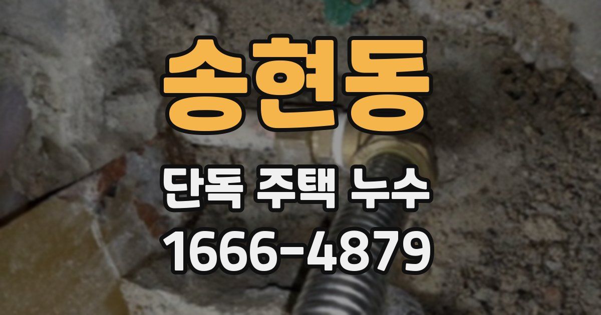 송현동 단독 주택 누수