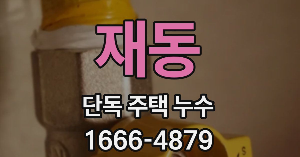 재동 단독 주택 누수