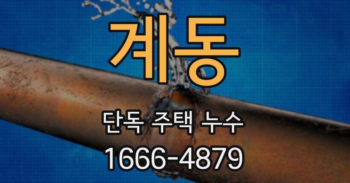 계동 단독 주택 누수