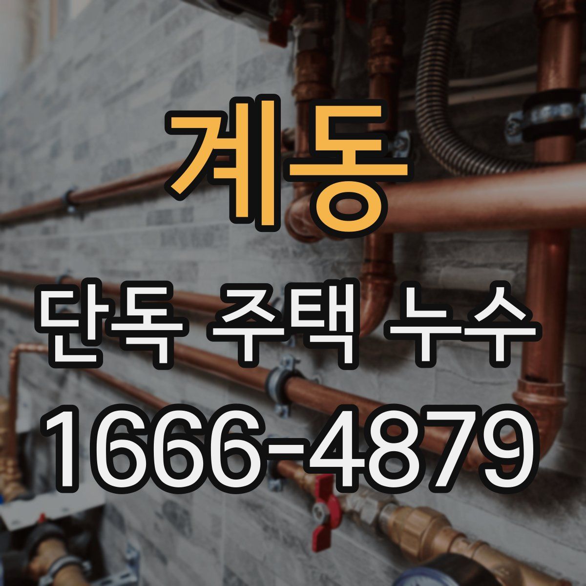계동 단독 주택 누수