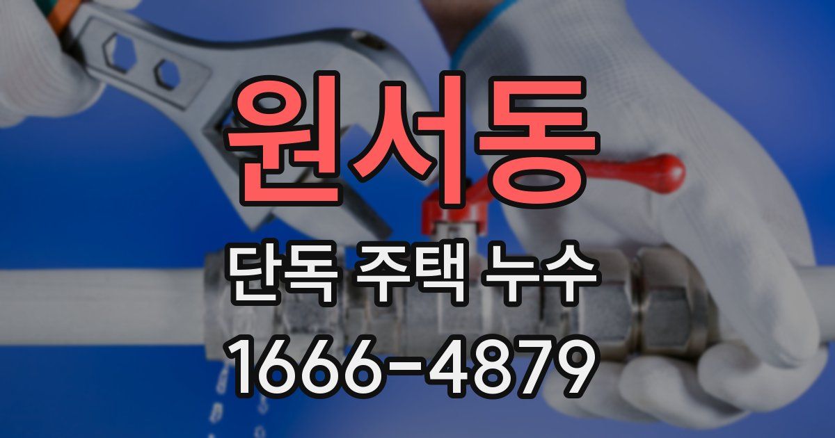원서동 단독 주택 누수
