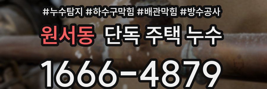 원서동 단독 주택 누수