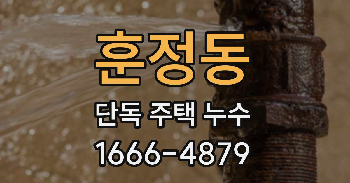훈정동 단독 주택 누수