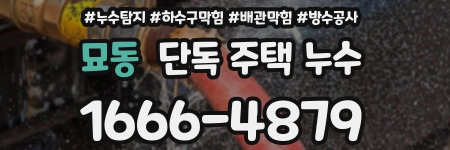 묘동 단독 주택 누수