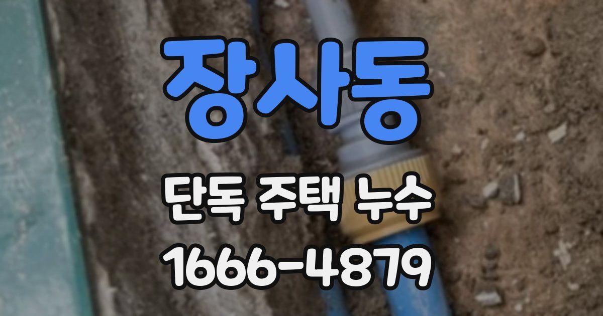 장사동 단독 주택 누수