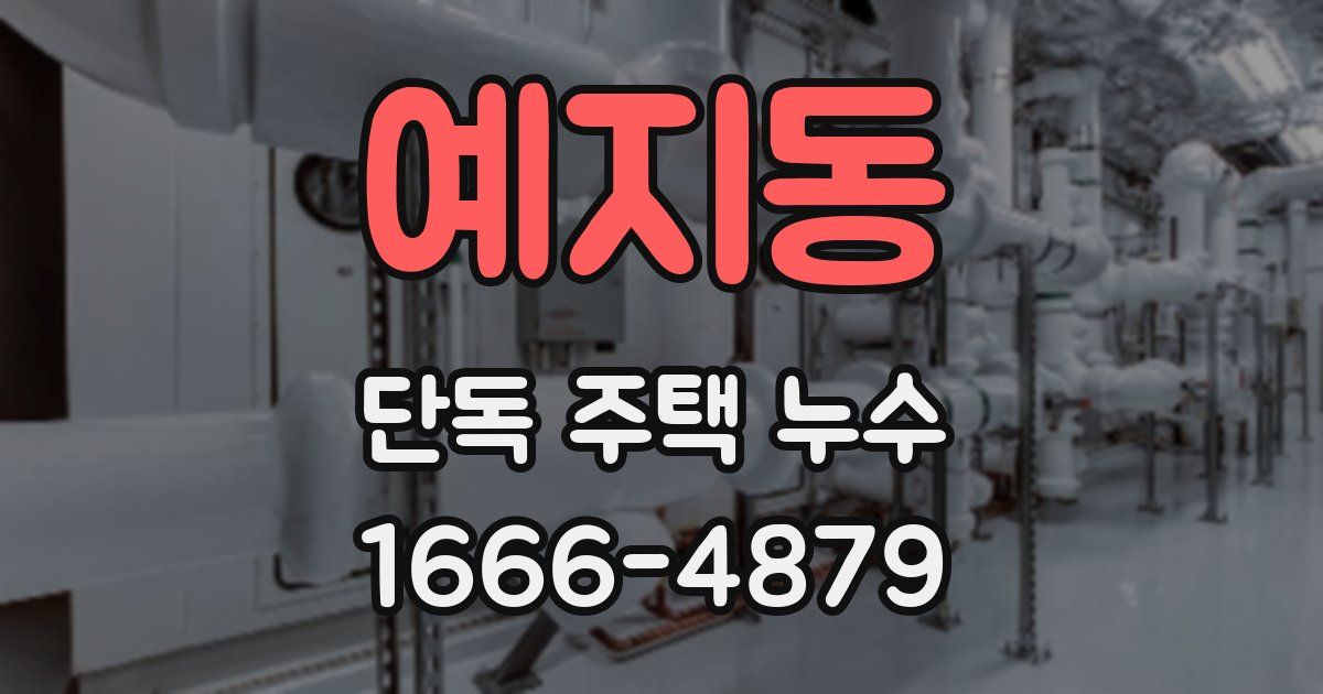 예지동 단독 주택 누수