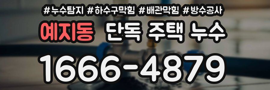 예지동 단독 주택 누수