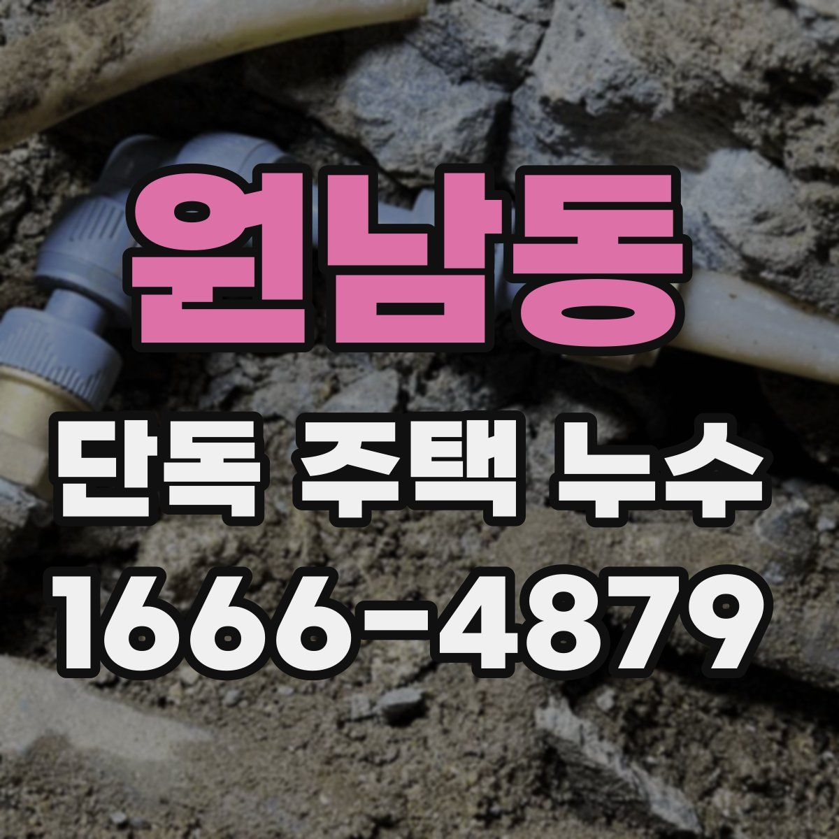 원남동 단독 주택 누수