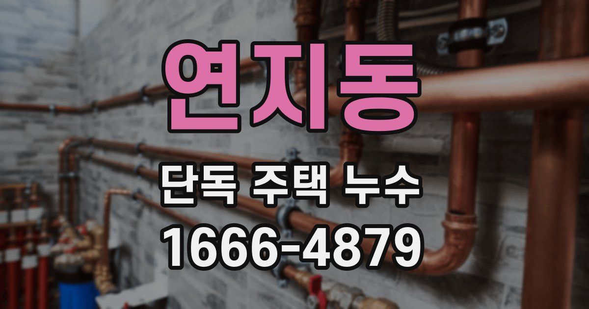연지동 단독 주택 누수