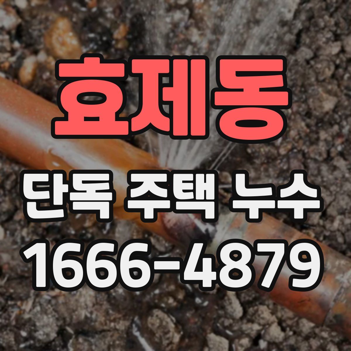 효제동 단독 주택 누수