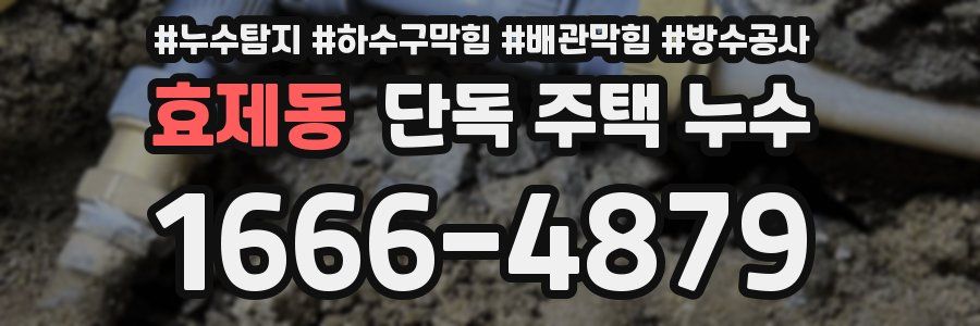 효제동 단독 주택 누수