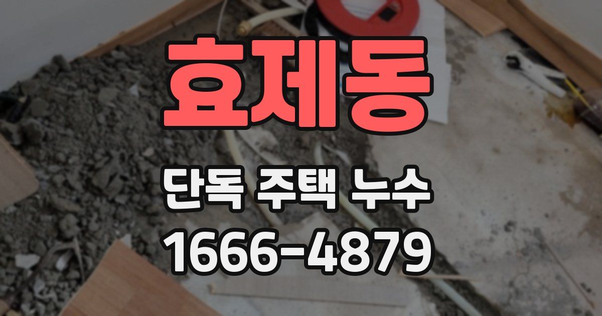 효제동 단독 주택 누수