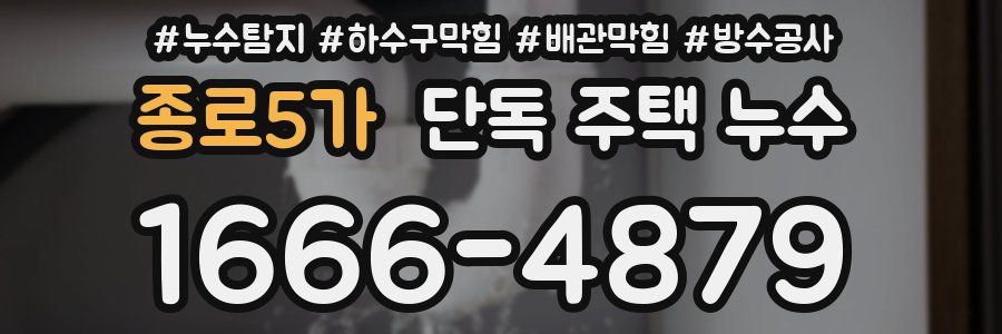 종로5가 단독 주택 누수