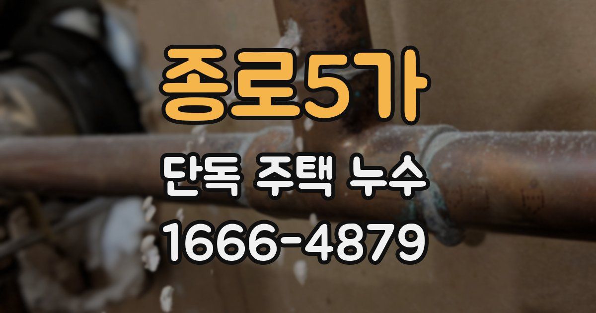 종로5가 단독 주택 누수