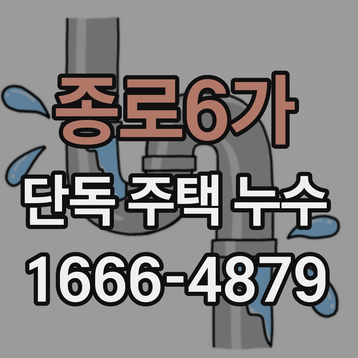 종로6가 단독 주택 누수