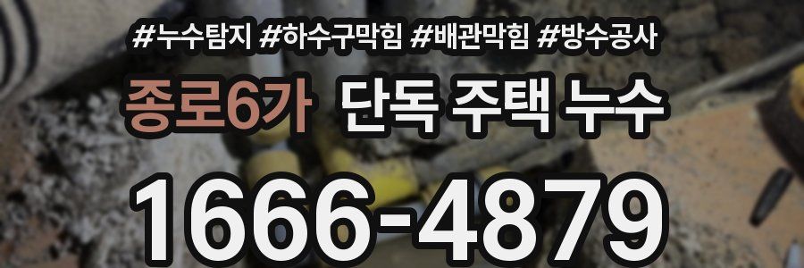 종로6가 단독 주택 누수
