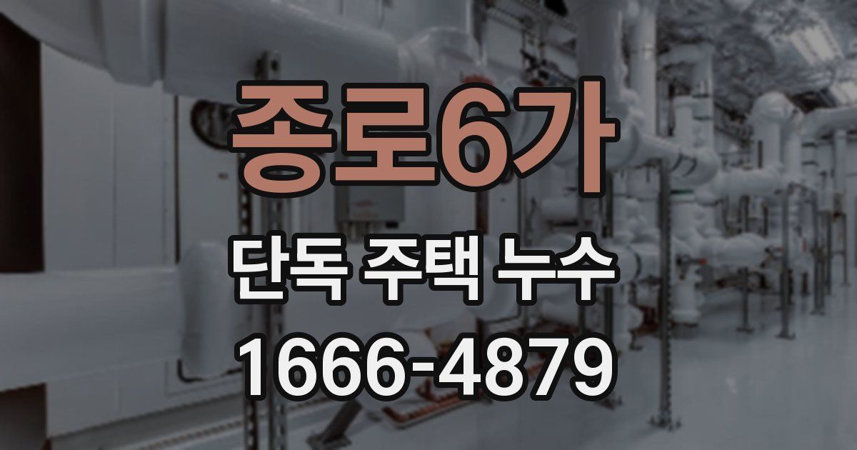 종로6가 단독 주택 누수