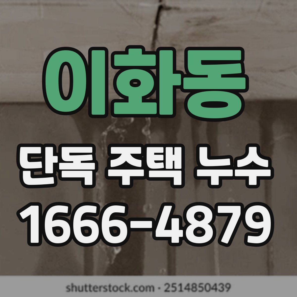 이화동 단독 주택 누수