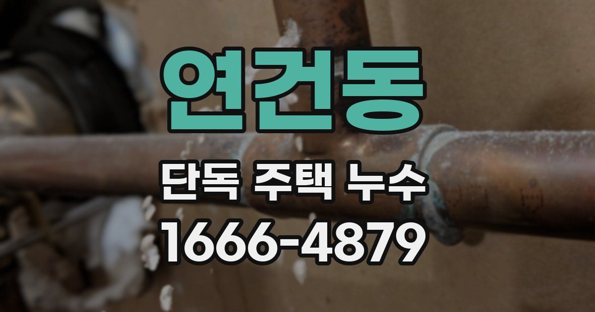 연건동 단독 주택 누수