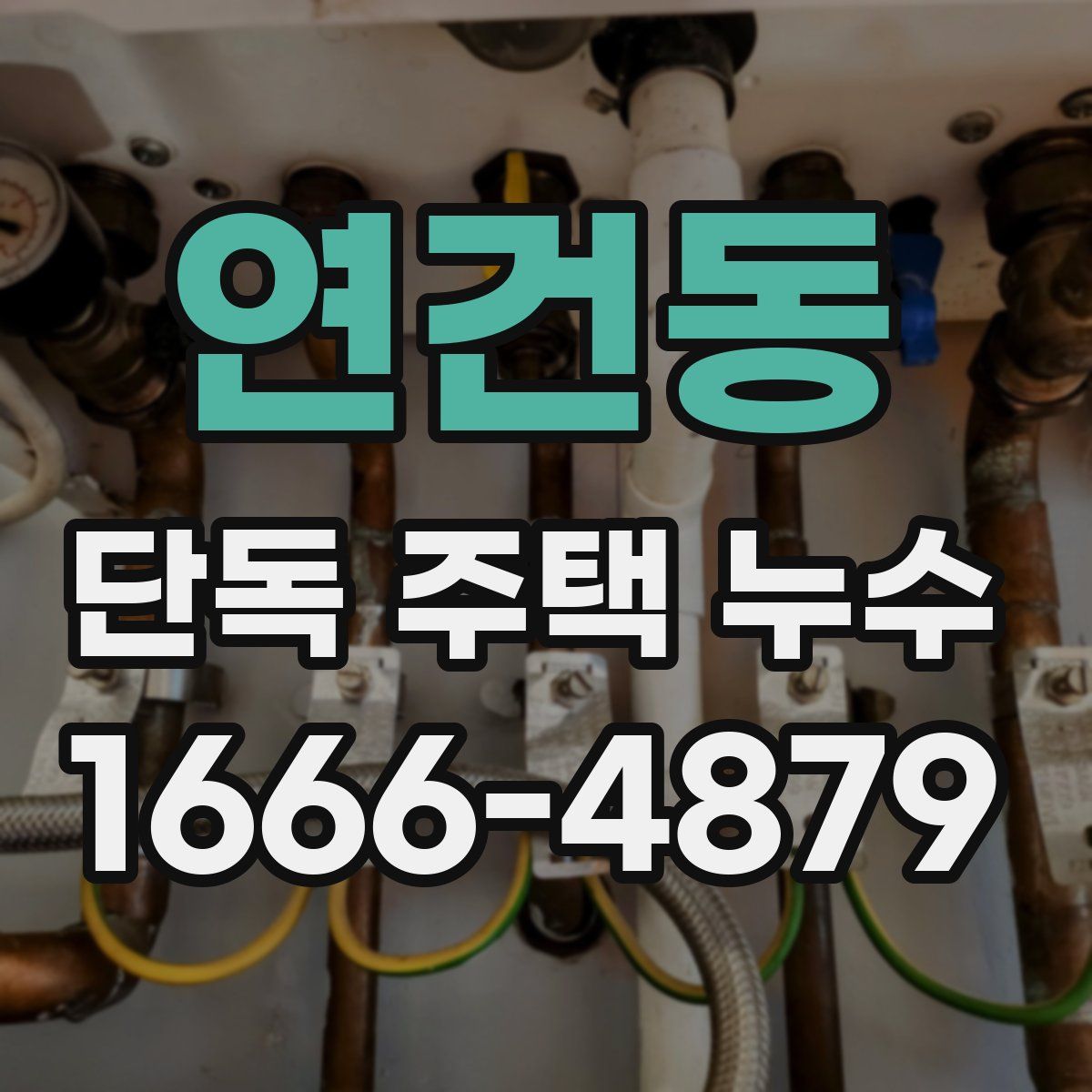 연건동 단독 주택 누수