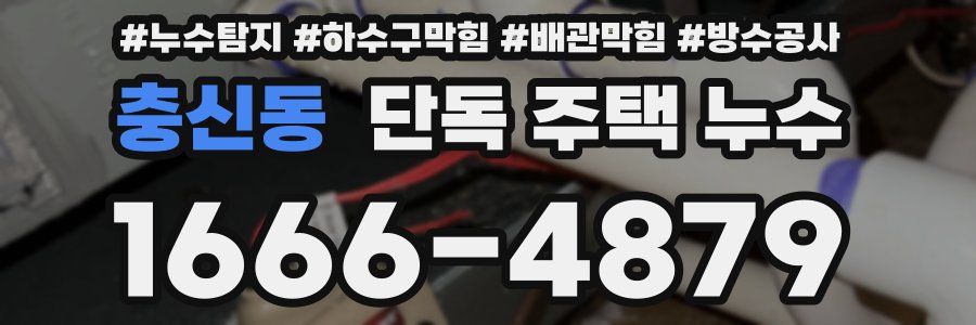충신동 단독 주택 누수