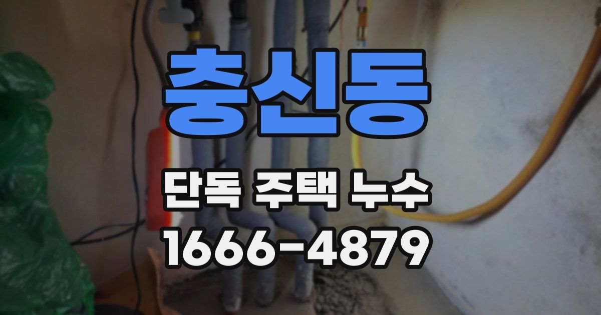 충신동 단독 주택 누수