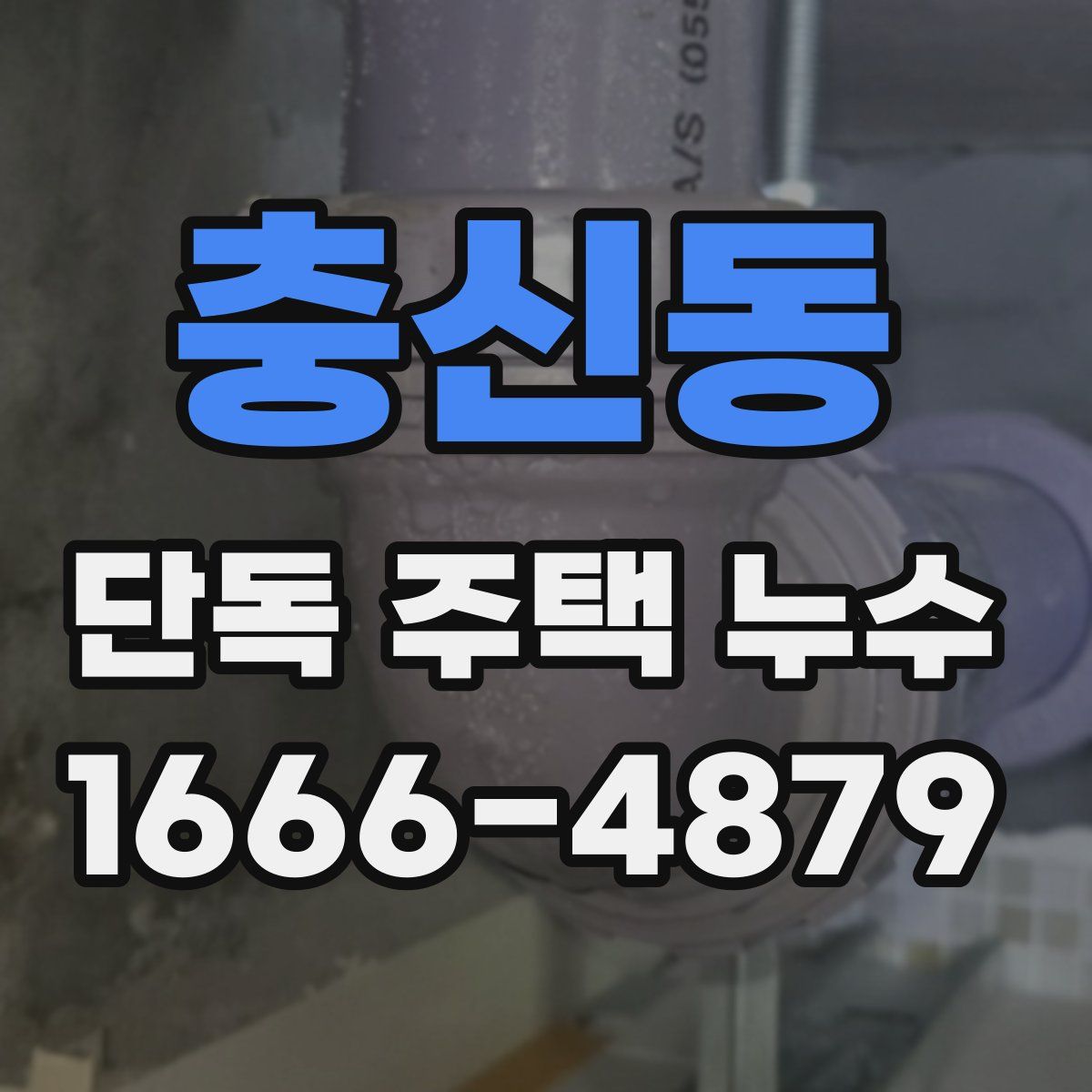 충신동 단독 주택 누수