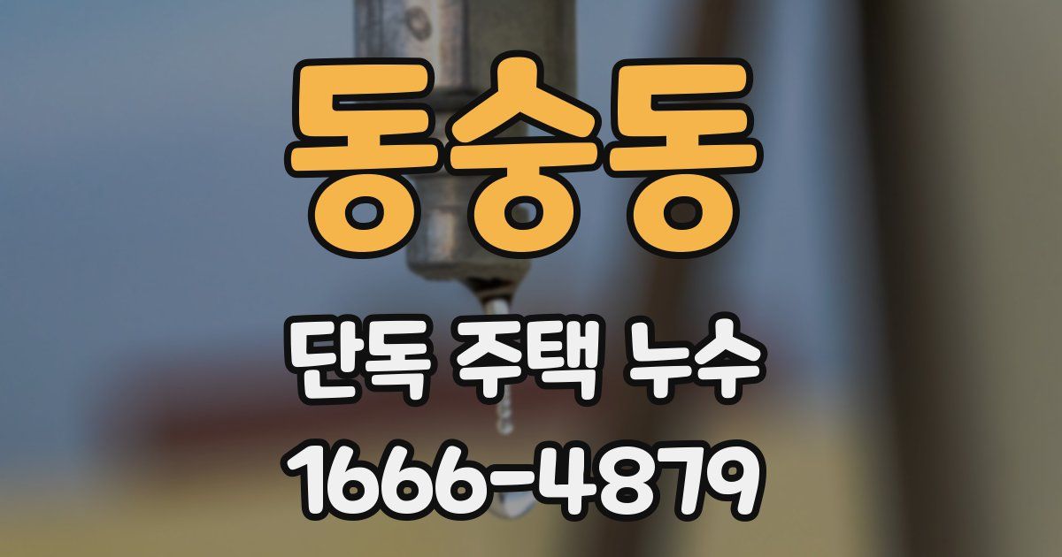 동숭동 단독 주택 누수
