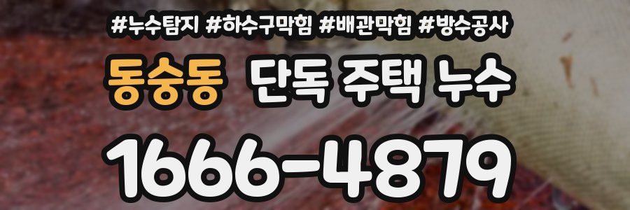 동숭동 단독 주택 누수